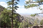 Tucson 2604